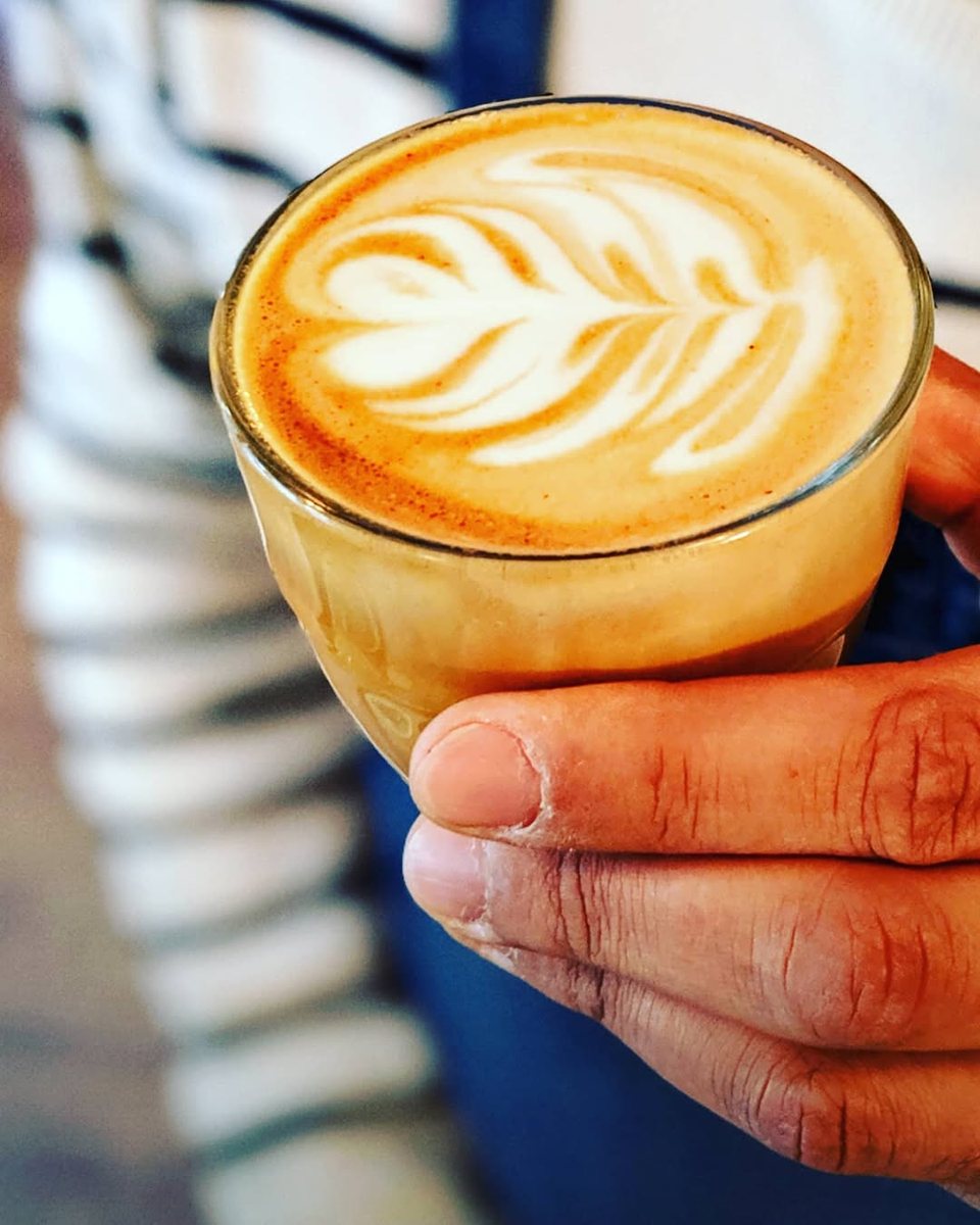 A hand holding a cappuccino with fern latte art